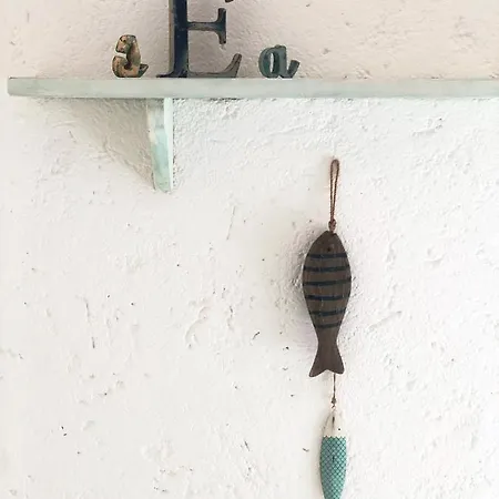 Begonia - Terza Golfo Aranci