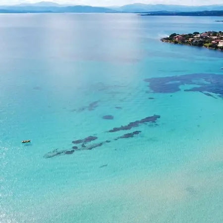 Begonia - Terza Lägenhet