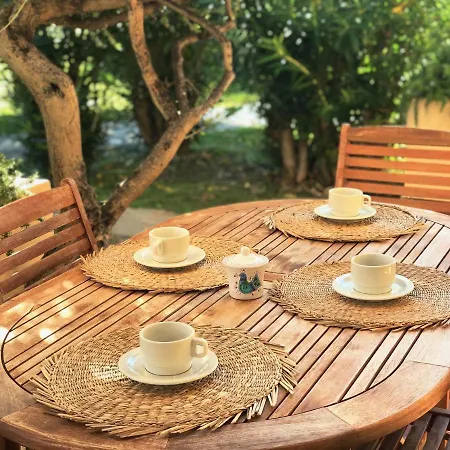 Begonia - Terza Golfo Aranci