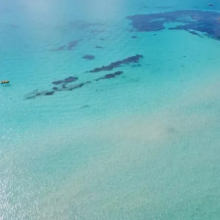 Begonia - Terza Lägenhet *