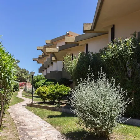 Begonia 3 - Terza Golfo Aranci