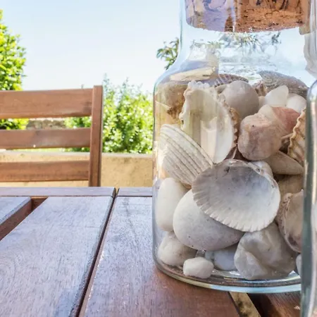 Lägenhet Begonia - Terza