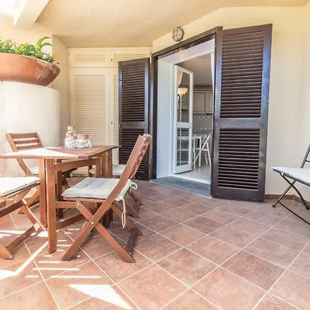 Begonia - Terza Golfo Aranci