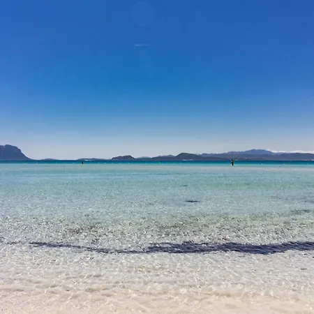 Begonia - Terza Lägenhet Golfo Aranci