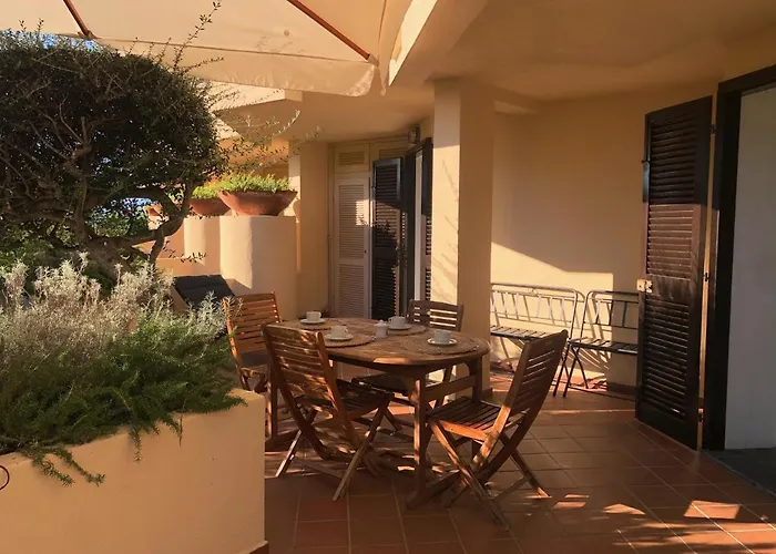 Begonia - Terza * Golfo Aranci